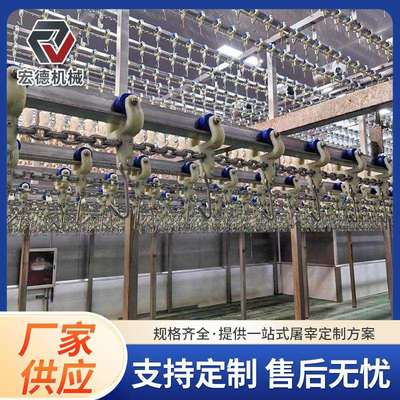 全自动淘汰蛋鸡屠宰流水线家禽宰杀线宰杀淘汰蛋鸡生产线
