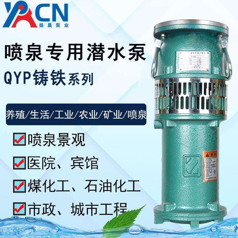喷泉泵QYP65-7-2.2潜水泵QYP65-10-3喷泉专用潜水电泵景观园林泵