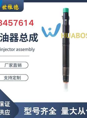 28457614 德尔福系统共轨喷油器 玉柴CRI-011国五电喷喷油器