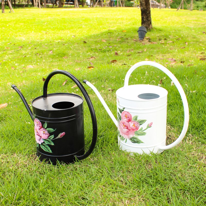 铁艺洒水壶浇菜大容m量浇水壶绿植多肉园艺浇花长嘴喷壶花园淋花