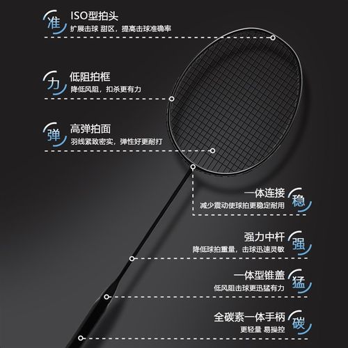 鹰臣/YICE小黑拍8U全碳素超轻羽耐打耐用男女训练专业单拍