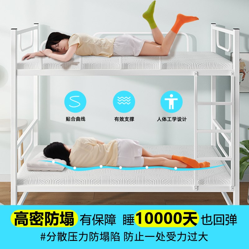 乳胶记忆棉垫子家用学生宿舍榻榻米定制床垫薄款床褥软可折叠拆洗