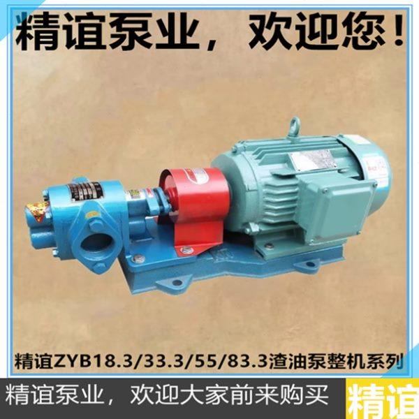 高温渣油泵ZYB18.3/33.3/55/83.3齿轮泵自吸泵齿轮油泵豆渣泵整机,五金/工具,压力泵,淘宝优惠券,粉丝福利购,淘宝优惠卷