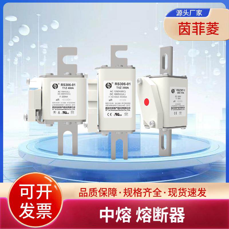 RS306-01-T5Z 40A 50A 63A 80A 100A 110A 125A西安中熔熔断器