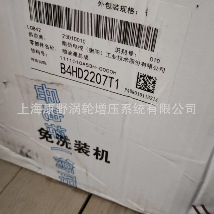 喷油泵B4HD2207T1 11111010A53H-0000H和1111010-53B B4HD2207T