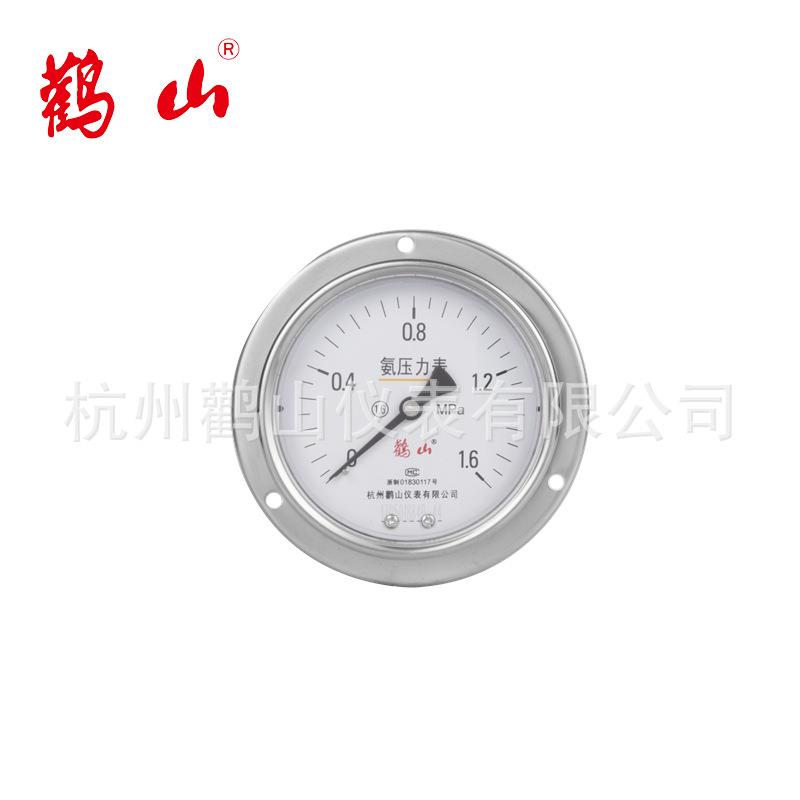 YA100BFZT氨用 不锈钢轴向带边压力表 轴向带边压力表 厂家直销