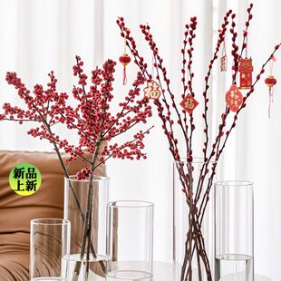 银柳专用花瓶摆件客厅插花玻璃透明网红高级感水养鲜花腊梅冬青大