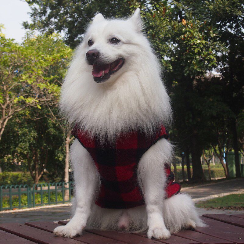 宠物狗加绒保暖可爱背心金毛萨摩边牧秋田中大型犬衣服大狗秋冬装