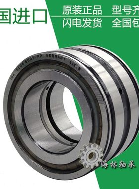 德国进口INA滚子轴承SL 192307 192317 RSL182205 RSL182206 A XL