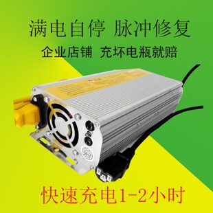 48V大小按时干水电通用充电机电摩电动轿车充电器四轮快速充电器