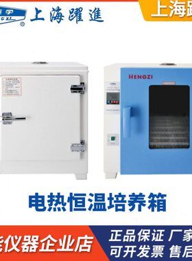 上海跃进( HENGZI）HDPN-150/HDPN-II-256/HDPF-55电热恒温培养箱
