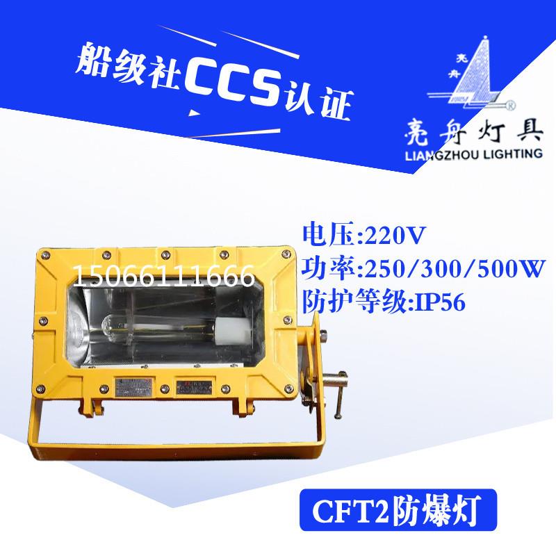 上海 船用防爆投光灯CFT2铝质铜质网罩IP56带镇流器400W/500W