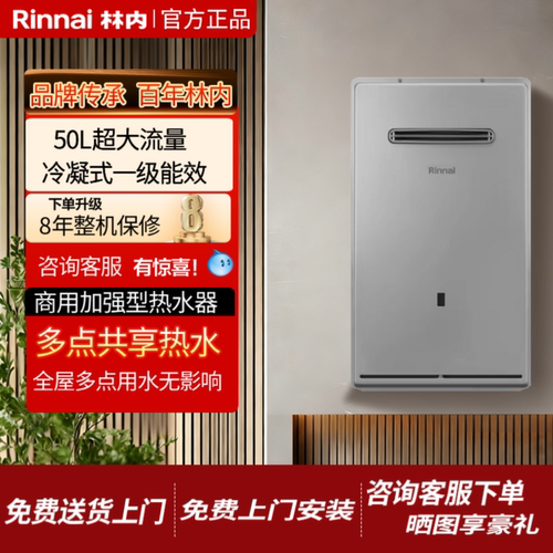 林内商用别墅50升室外机热水器