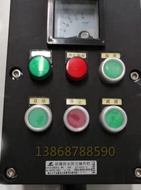 FZC一S一A4D2B1G防腐防水防尘操作柱