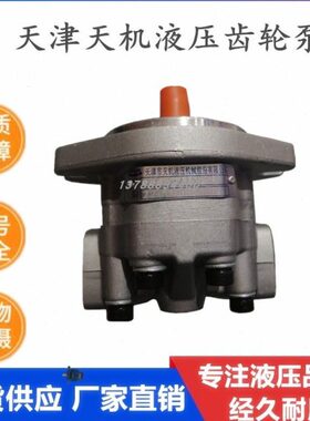 G5-12-1E13S-20R 天津天机齿轮泵 G5-6/8/10/16/25/30-1FE13F-20L