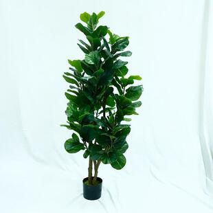 北欧仿真琴叶榕多杆盆景假植物 仿真葫芦叶小型室内摆件假树盆栽