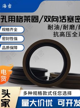 GSI孔用格莱圈STD160/165/170/175/180/185/190/195/200*6.3/8.1