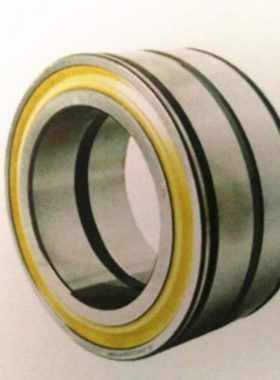 国产双列密封满装圆柱滚子轴承SL04 5008PP 5009PP 5010PP 5011PP