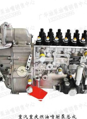 重汽重庆燃油泵总成6P1194/6P1222/6P1227/6P1250/6P1259/CB6P123