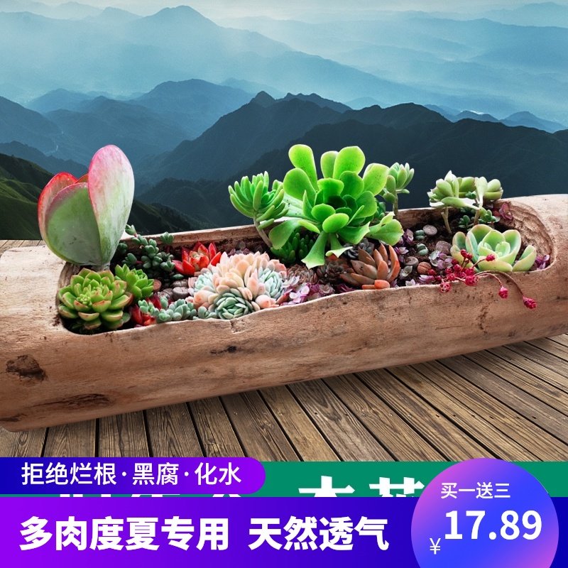 多肉木头b花盆树桩木质长条型木桩原木特大口径木槽网红宽口木花