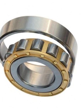 圆柱滚子轴承N213 214 215 216 217 218 219 220 221 222 224EM