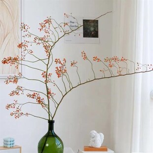 山归来蔷薇果鲜切花水培装饰插花客厅办公室内S绿植直发可做干花