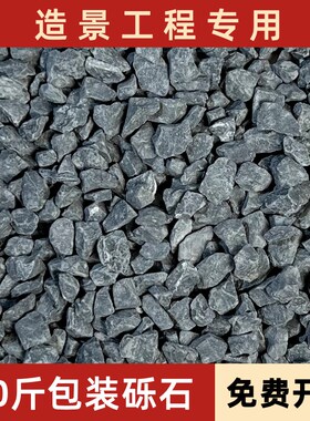 黑色砾石水洗石日式庭院枯山水碎石子深灰色洗米石子X黑色石子石