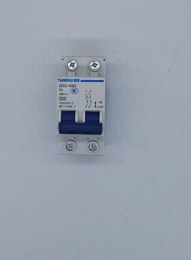 天水二一三小型直流断路器 DZX2-40DC 2P C6 GSB1Z-2P C6