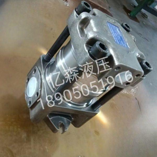 替住友齿轮泵IGP3/IGP4/IGP5系列伺服注塑机油压机内啮合齿轮泵,五金/工具,液压机/油压机,淘宝优惠券,粉丝福利购,淘宝优惠卷