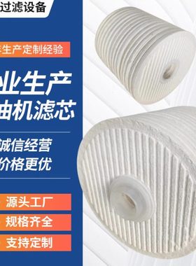 替CJC滤芯过滤器滤芯   B27/27 PA5601301  滤油机滤芯A1X27/27