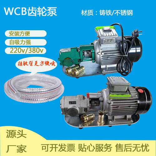 WCB-100/75/50不锈钢齿轮泵生产厂家220V/380V电压铸铁手提齿轮泵