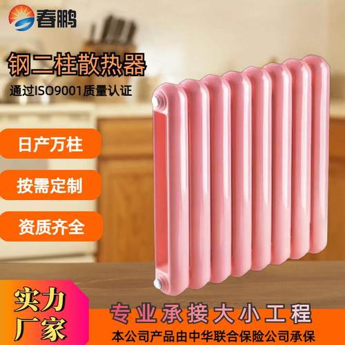 厂家钢制柱式60*30钢二柱GZ206工程家用水电暖散热器暖气片