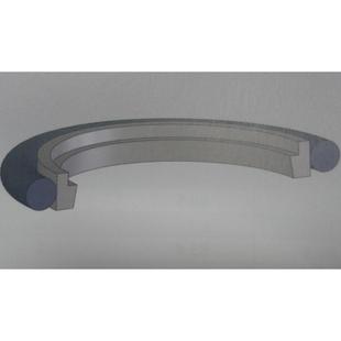 STd 4.2 GSJ油封密封圈轴用斯特封OD 6.3四氟铜粉垫 RS70 BSJ