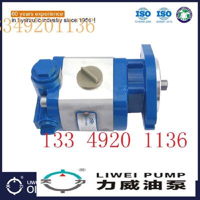 合肥力威汽车转向油泵肥力泵 非开挖合助天力 QC12/23-EQ油轮齿泵