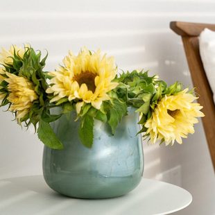 赫本家法式中古风玻璃花瓶敞口高级感花瓶艺术摆件轻奢大口径矮款