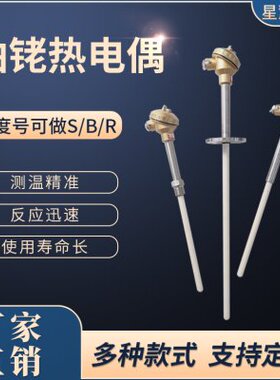 S型铂铑热电偶WRP-130/0-1600度高温刚玉管热电偶温度传感器