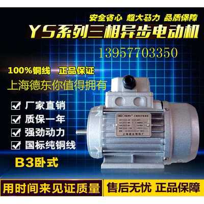 上海德东铜线国标三相异步电动机YS7122/380V/0.55KW/转速/2800