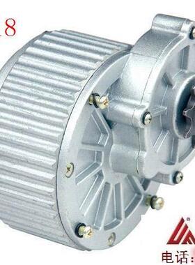 尤奈特永磁直流有刷减速电机MY1018-450W24V 36v电动自行车车配件