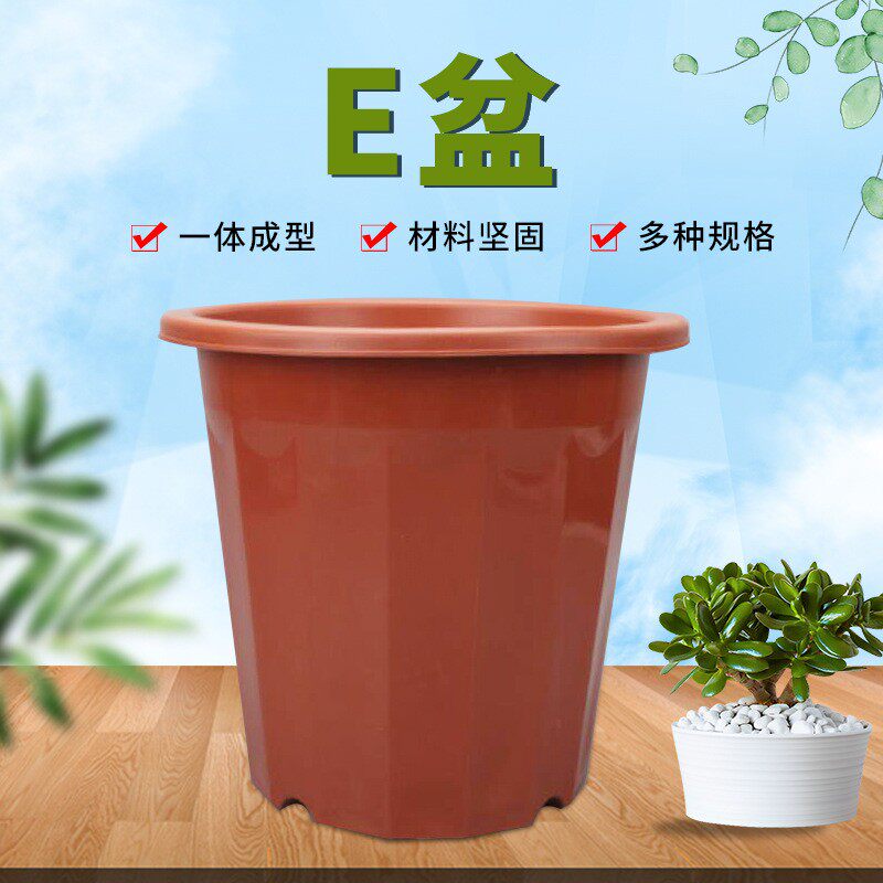 E型红色花盆十二角盆高角塑料花盆e角盆基地发财树育苗种植盆