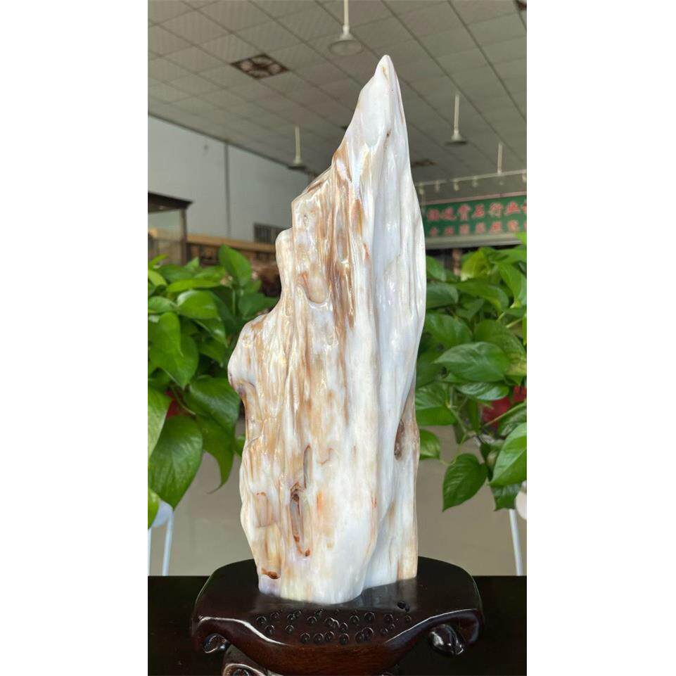 木化玉树化石奇石冰种树化玉原石桌面装饰木化石大摆件
