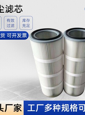 厂家 工业滤芯机械设备滤芯空气滤芯抛丸机除尘车滤芯3290粉尘
