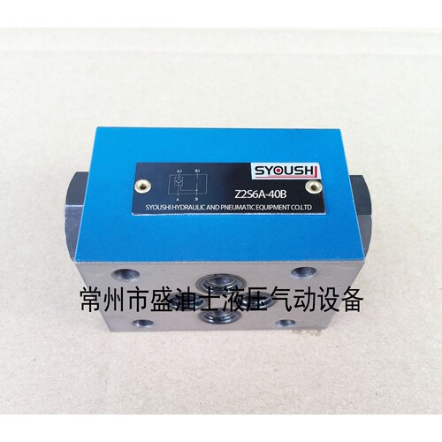 SYOUSHI液压液控单向阀Z2S6-40B Z2S6B-40B现货保压阀质保一年