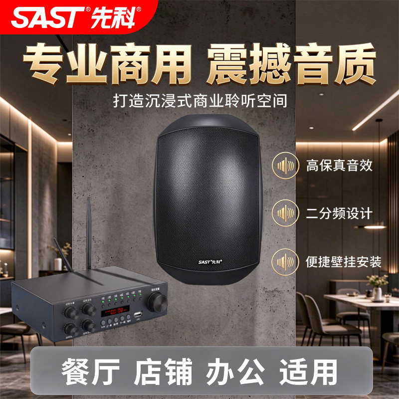 先科商用壁挂式音箱无线蓝牙重低音挂墙式喇叭餐厅店铺专用音响