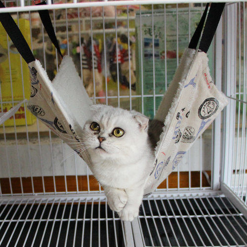 猫吊床猫咪挂窝猫笼子用宠物猫笼悬挂式睡觉的秋千空中摇篮小猫床