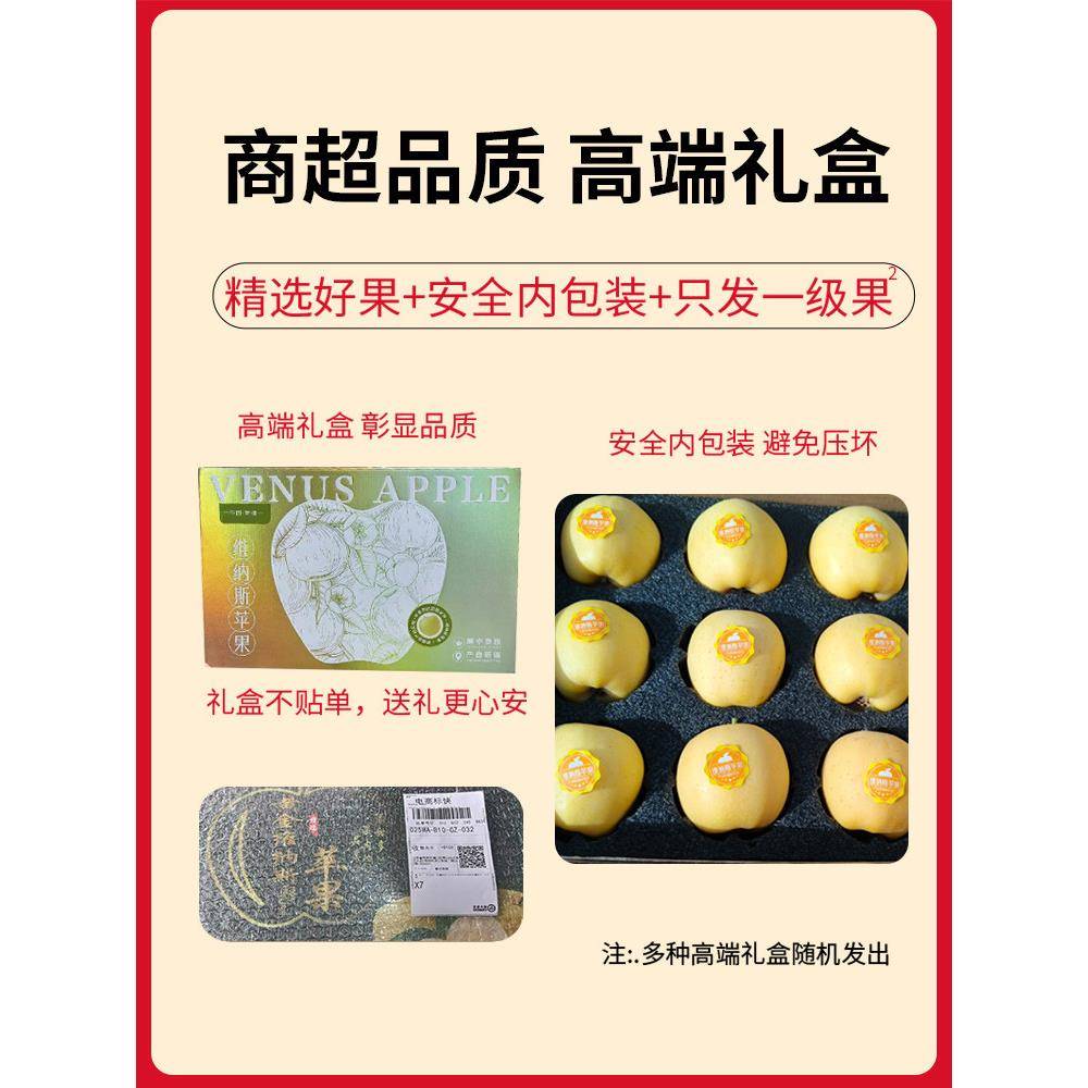新疆维纳斯黄金苹果顺丰新鲜水果当季送礼礼盒奶油富士甜黄金苹果