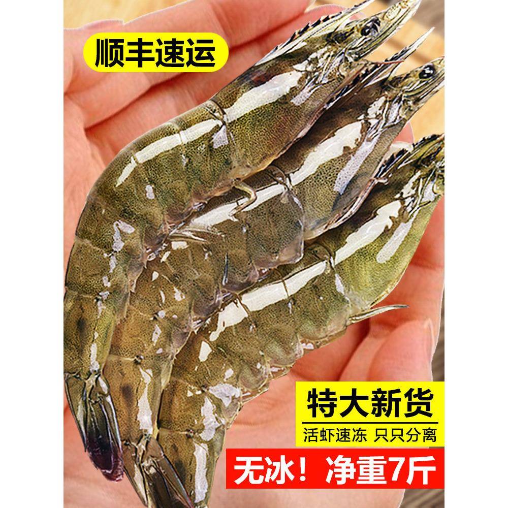 大虾鲜活冷冻超大海鲜水产基围虾鲜虾海虾青虾冻对虾特大生鲜虾类