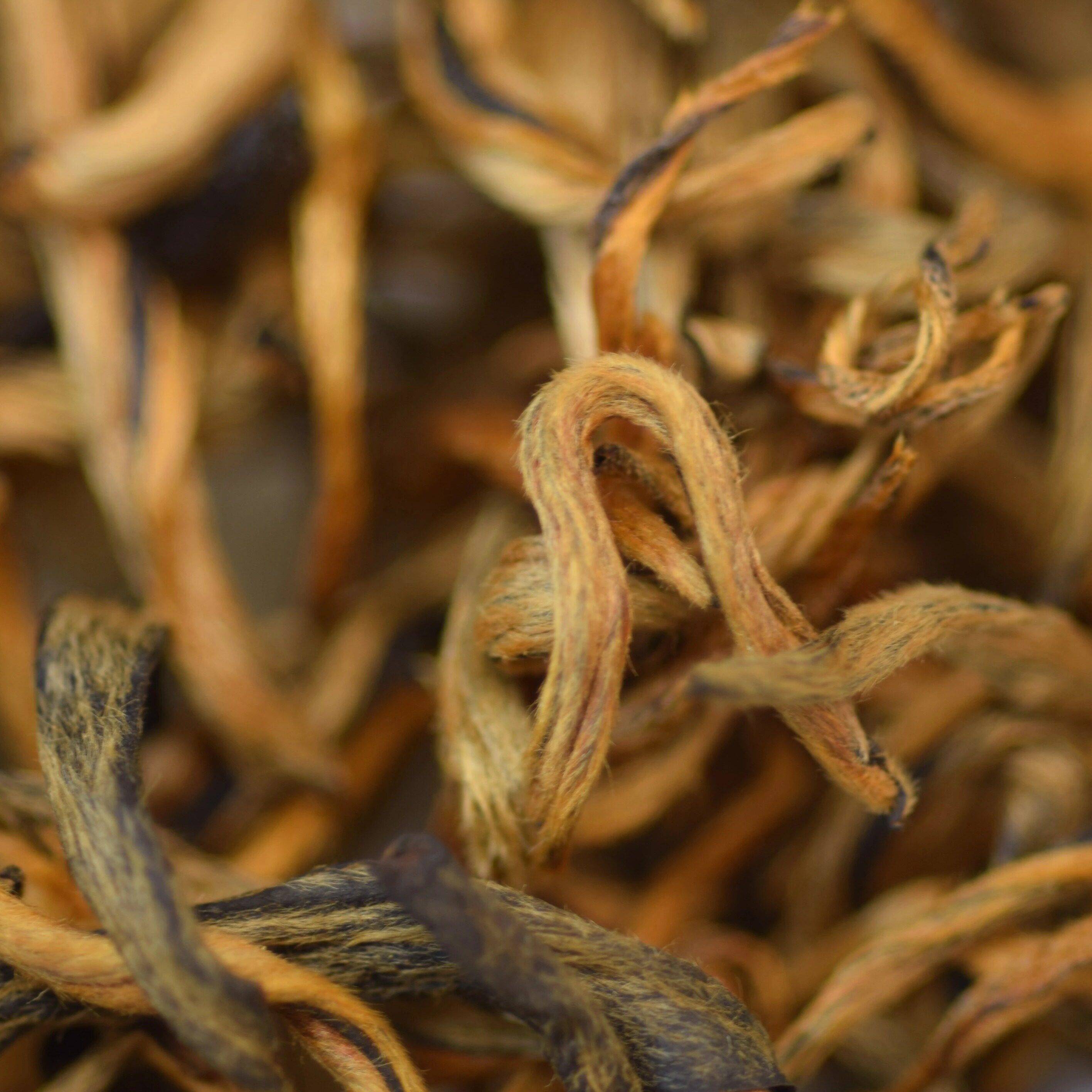 茶滇红果香云南功夫红茶凤庆金丝金芽红蜜香茶叶250克