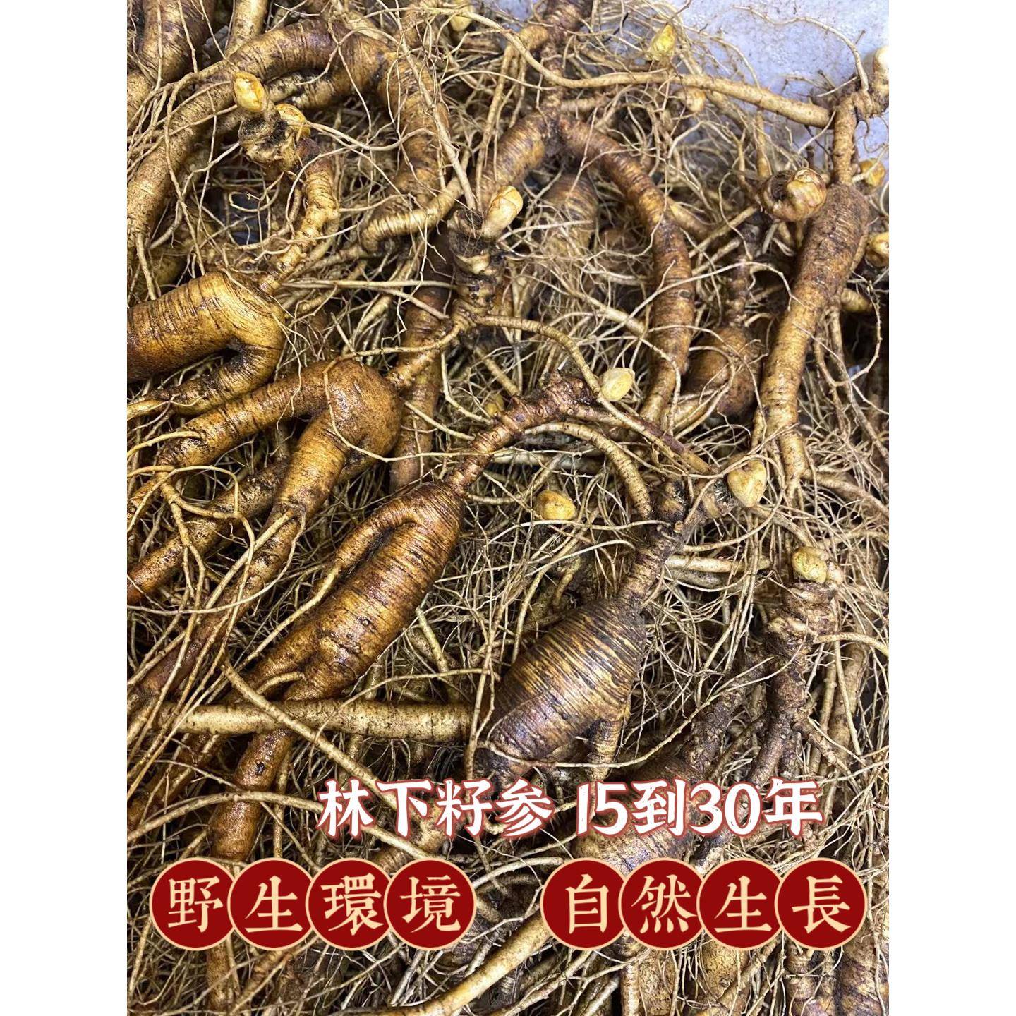东北新鲜林下参野山参整枝长白山人参鲜参老人参泡酒煲汤人叁籽参