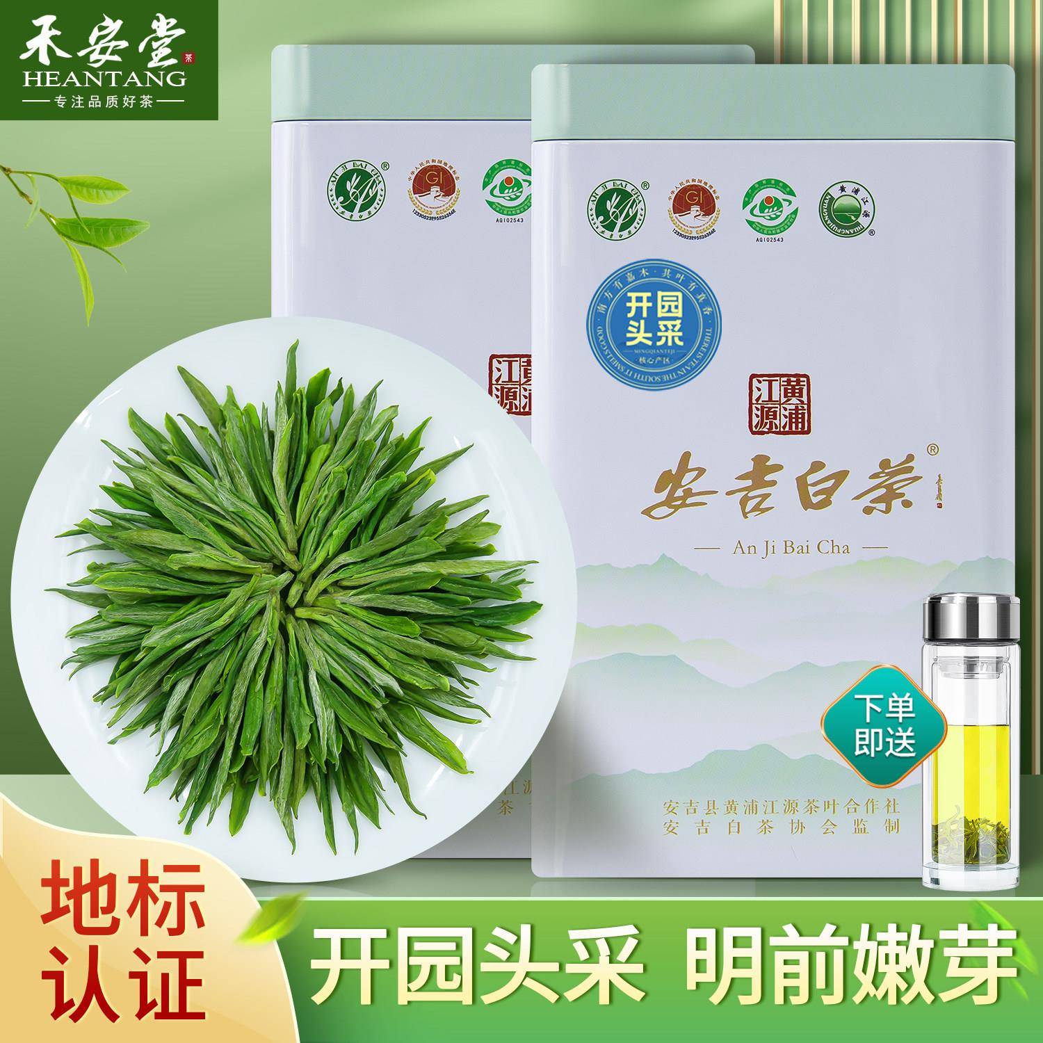 禾安堂安吉白茶2026新茶明前特级茶叶自己喝绿茶官方正品经营店