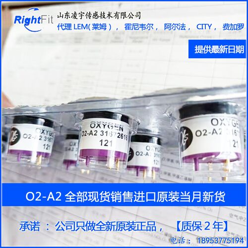 传感器AB405-800双气体CP 75C可化催化4COSH一氧化碳CO硫燃氢H2S